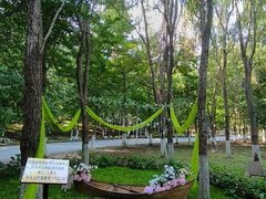 -长白岛森林公园