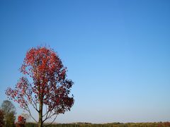 -南京枫彩漫城