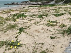 -晋江站-售票处