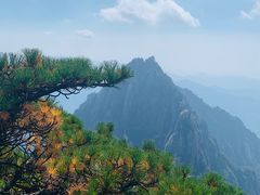 -黄山风景区