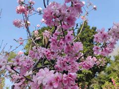 -桃花涧