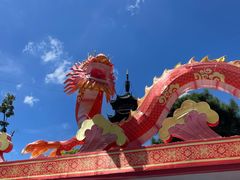 -龙华素斋(龙华路店)