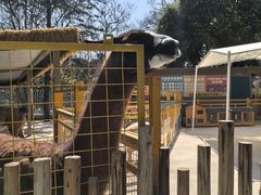 -昆明动物园