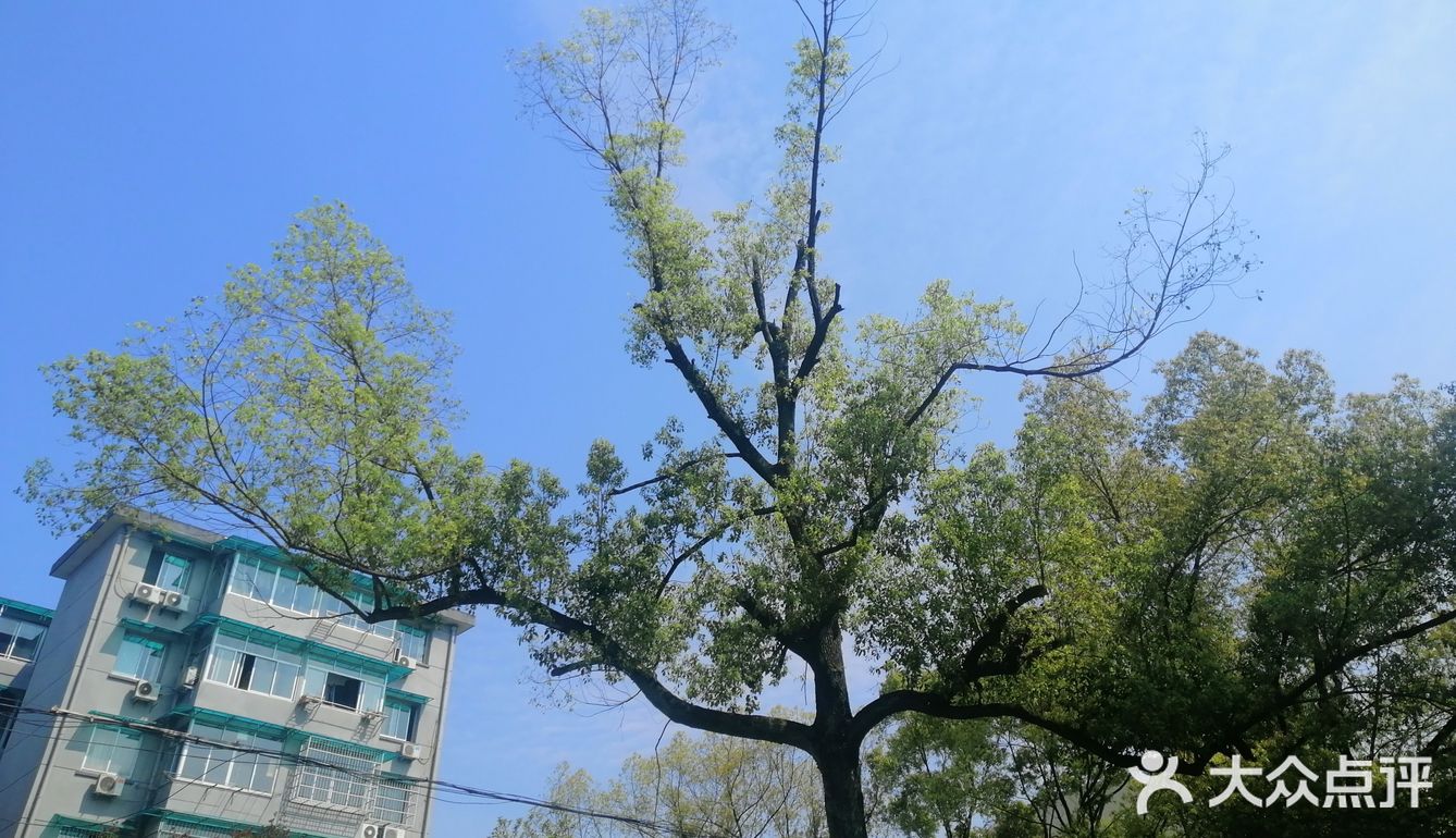空气中散发得淡淡的青草味！大家在外面玩还是挺多的！