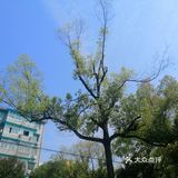 空气中散发得淡淡的青草味！大家在外面玩还是挺多的！