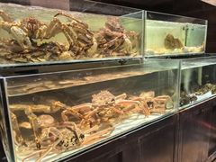 -樱之盛宴·蟹料理海鲜自助(前进大街店)