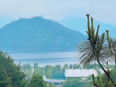 -千岛湖天屿景区