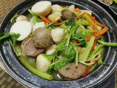 -肥信潮菜(科新路店)