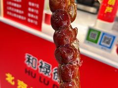 -和禄德冰糖葫芦