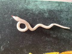 -石景山区图书馆(八角南路)