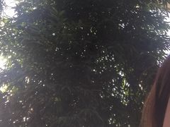 -龙达温泉生态城