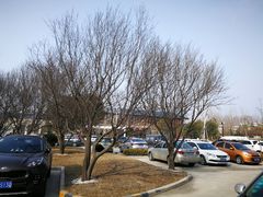 -思念果岭悦温泉