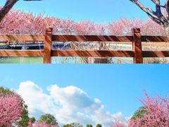 -云和湖仙宫景区