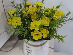 -维乐口腔(格林门诊长宁店)