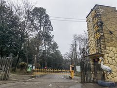 -象山森林公园