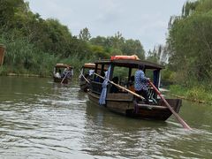 -溱湖国家湿地公园
