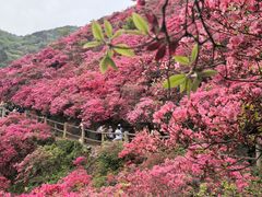 -木兰云雾山