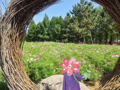 -羊亭河湿地公园