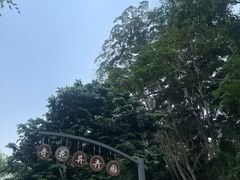 -中国科学院西双版纳热带植物园