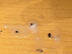 -云晓光头烧烤吧(川沙绿地店)