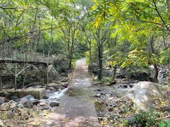 -云岫谷游猎自然风景区