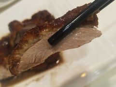 -禄興記香港大排档(歌斐中心店)