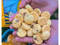 奶香提子酥-東更道点心行(文化东路店)