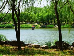 -马家湾湿地公园