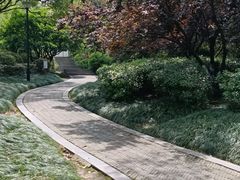 -汤山公园