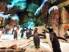 -波塞冬旅游度假区