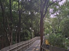 -福道