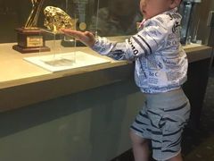 -疏芬山金矿