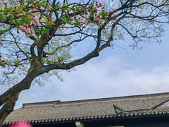 -杭州西湖柳莺里酒店