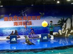 -重庆欢乐海底世界