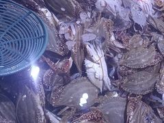 -聚盛源蒸汽海鲜火锅烤肉自助(巨川金海岸购物广场店)
