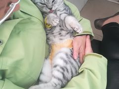 -畜牧兽医站(共江路店)