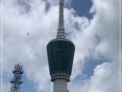 -梧桐山风景名胜区