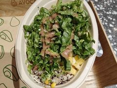 -油梨树AVOCADO TREE(嘉里中心店)