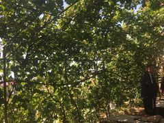-大泽山风景名胜区