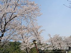 -穹窿山景区