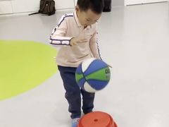 -金色雨林·专注力情商思维感统(海岸城八方汇中心)