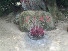 -沂蒙云瀑洞天景区
