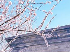 -三里河公园