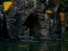 -浮庄