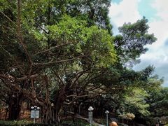 -深圳龙潭公园