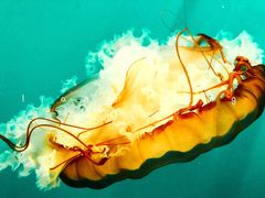 -华夏文旅西安度假区