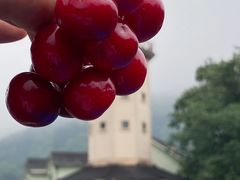 -重庆海昌加勒比海水世界