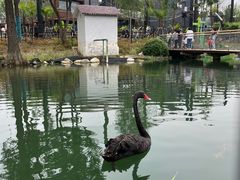 -武汉动物园
