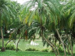 -人民公园(罗湖区)