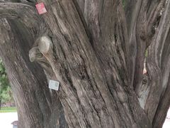 -北京市劳动人民文化宫(太庙)